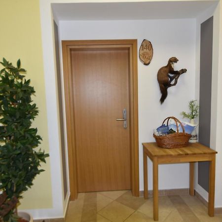Apartments And Rooms Kod Eli Ravna Gora Zewnętrze zdjęcie