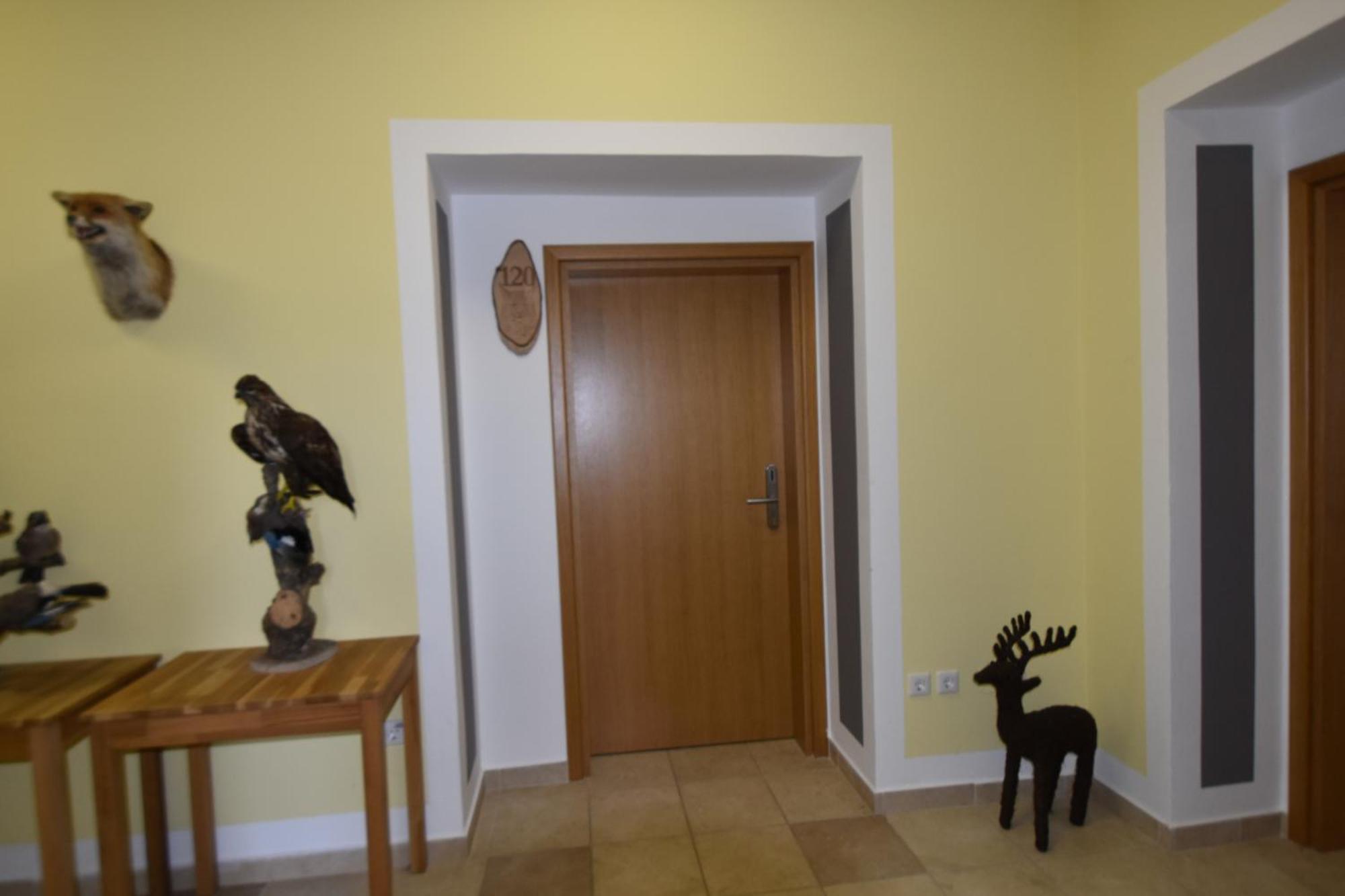 Apartments And Rooms Kod Eli Ravna Gora Zewnętrze zdjęcie